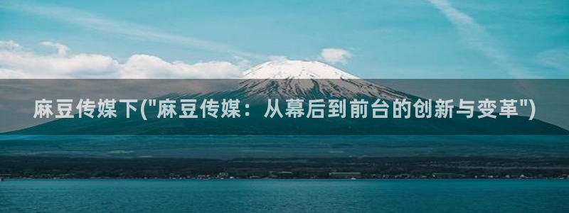 麻豆区：麻豆传媒下(\