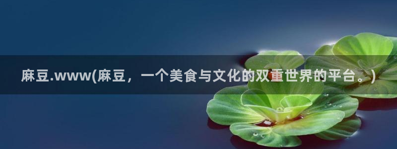 91麻豆国产专区在线观看：麻豆.www(麻豆，一个美食与文化的双重世界的平台。)