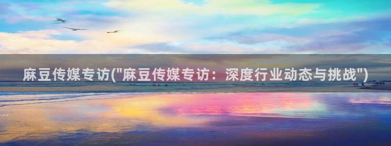 wwav麻豆专区：麻豆传媒专访(\