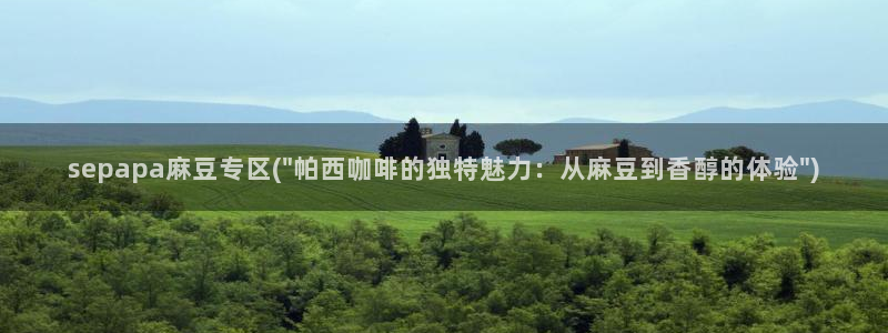 麻豆专区一：sepapa麻豆专区(\