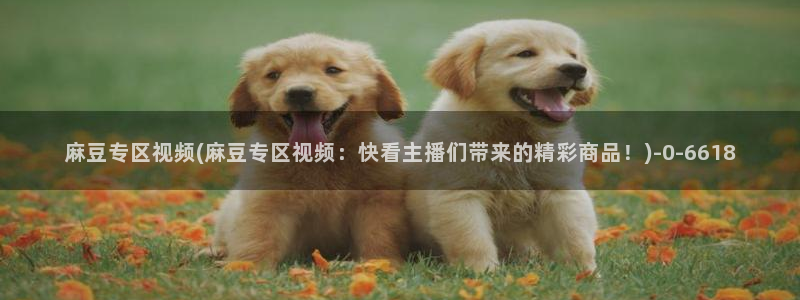 麻豆.com：麻豆专区视频(麻豆专区视频：快看主播们带来的精彩商品！)
