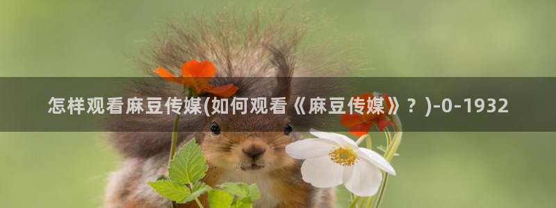 欧美专区麻豆：怎样观看麻豆传媒(如何观看《麻豆传媒》？)