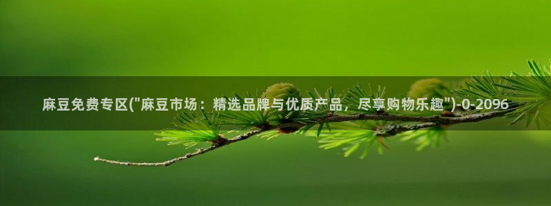 91麻豆专区：麻豆免费专区(\