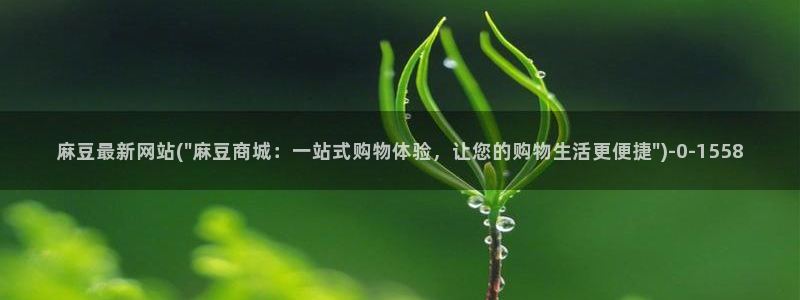 91麻豆专区：麻豆最新网站(\