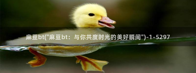 91麻豆国产专区：麻豆bt(\