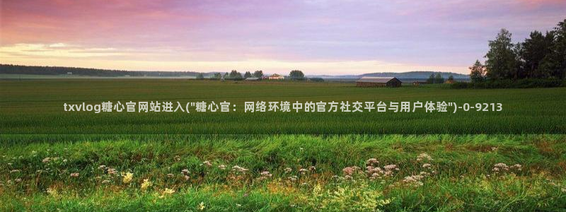 糖心vlog平台