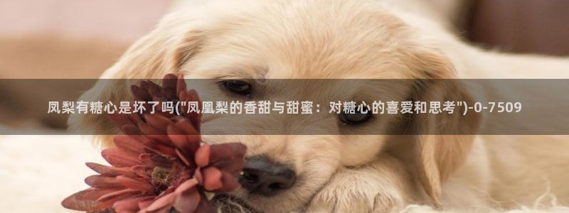 糖心vlog女神有哪些