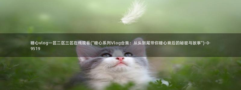 糖心vlog免下载