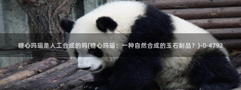 糖心vlog破解视频