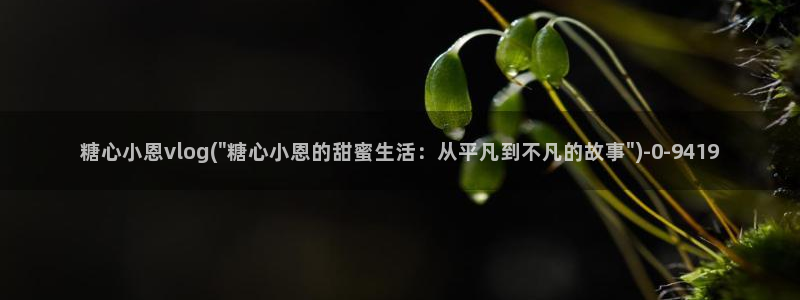 糖心vlog官方版