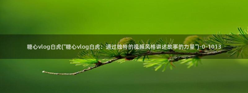 糖心vlog0