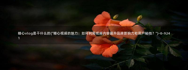 糖心vlog网盘