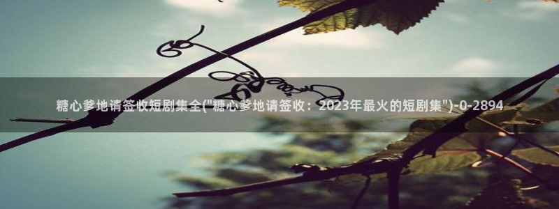糖心vlog黄版